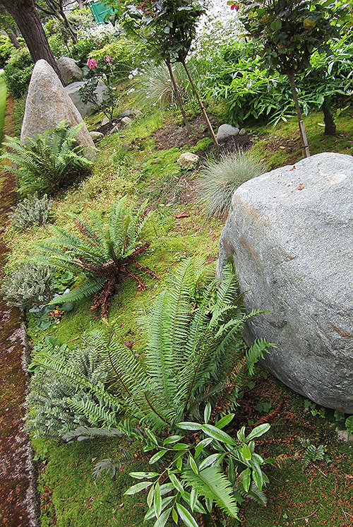 boulders in bed 11