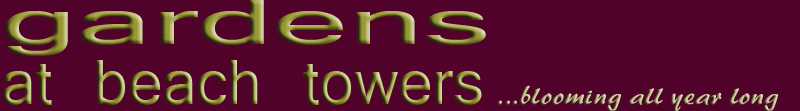 header with garden at beach towers