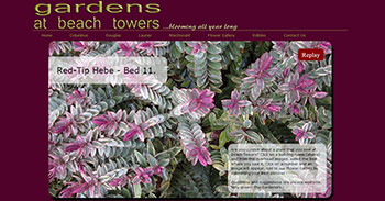 Beach Towers home page
